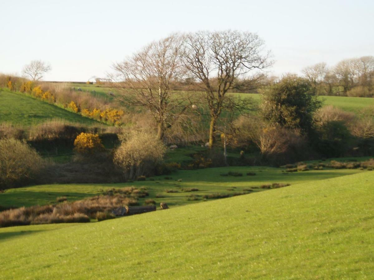 Forda Farm Bed&Breakfast Bed & Breakfast Thornbury  Eksteriør bilde